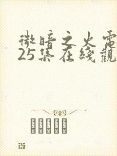 微暗之火电视剧25集在线观看