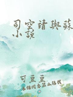 司空靖与苏月汐小说