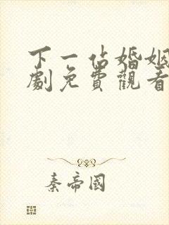 下一站婚姻电视剧免费观看全集