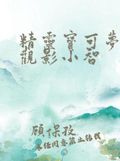 精灵宝可梦众人观影小智