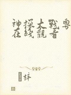 神探大战粤语版在线观看