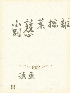 小说叶总离婚请别怂