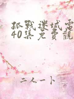 孤战迷城电视剧40集免费观看2024