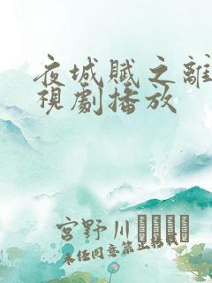 夜城赋之离生电视剧播放