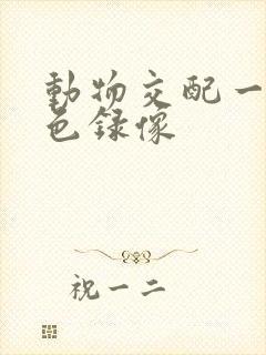 动物交配一级黄色录像