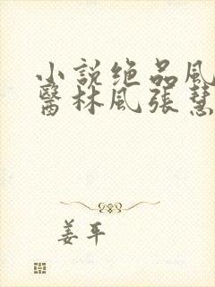 小说绝品风流狂医林风张慧的免费阅读