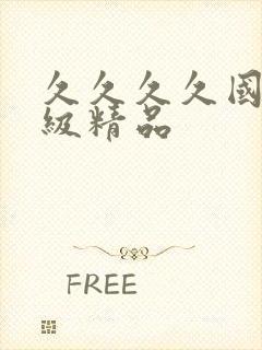 久久久久国产一级精品