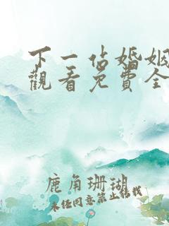 下一站婚姻在线观看免费全集播放