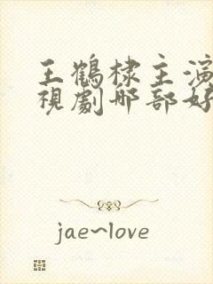 王鹤棣主演的电视剧哪部好看