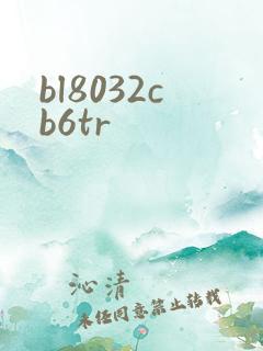 bl8032cb6tr