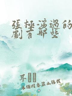 张极演过的电视剧有哪些