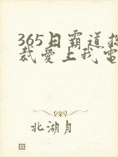 365日霸道总裁爱上我电影