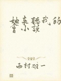 她来听我的演唱会小说