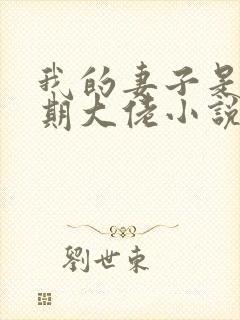 我的妻子是大乘期大佬小说在线