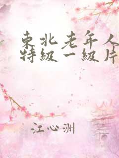 东北老年人黄色特级一级片