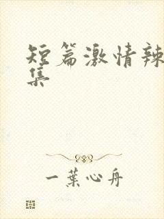 短篇激情辣文合集