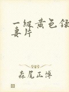 一级黄色录像夫妻片