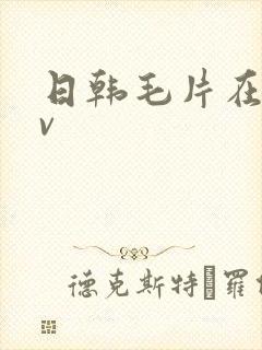 日韩毛片在线av