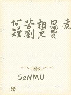 何苦相思煮余年短剧免费