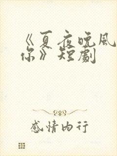 《夏夜晚风遇见你》短剧