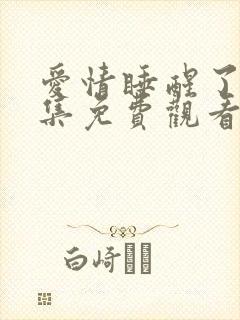 爱情睡醒了40集免费观看