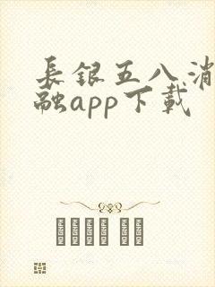 长银五八消费金融app下载