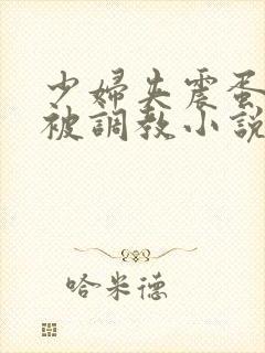 少妇夹震蛋上班被调教小说