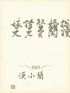 嫁错替婚总裁全文免费阅读