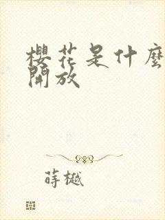 樱花是什么季节开放