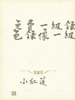 免费一级录像黄色录像一级一级播放