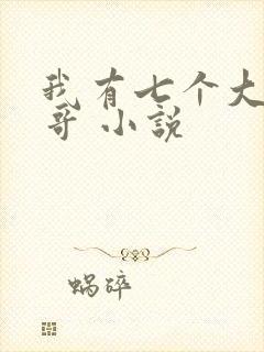 我有七个大佬哥哥 小说