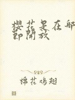 樱花是在哪个季节开放