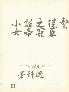 小说之从赘婿到女帝宠臣