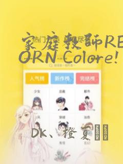 家庭教师REBORN Colore! 画集：结局+番外