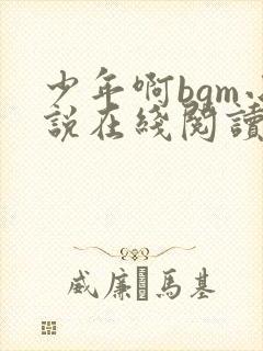 少年啊bgm小说在线阅读