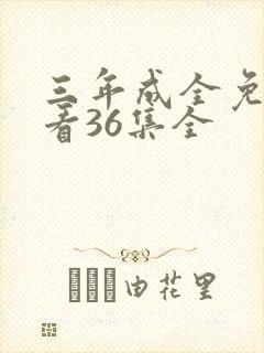 三年成全免费观看36集全