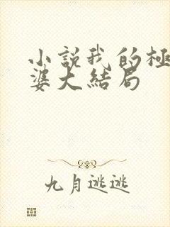 小说我的极品老婆大结局