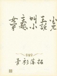 女主叫王小小的穿越小说免费阅读
