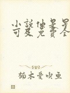 小说他是星河不可及免费全文阅读