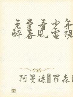 免费看少年白马醉春风电视剧