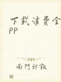 下载消费金融app