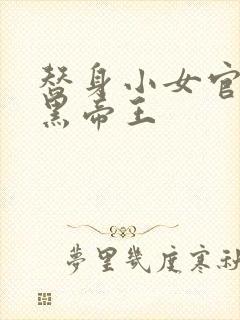 替身小女官,腹黑帝王