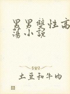 男男双性高h浪荡小说