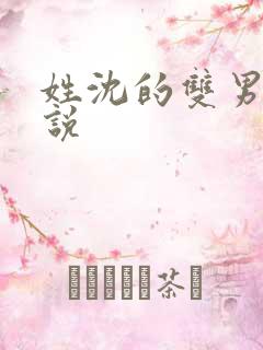 姓沈的双男主小说