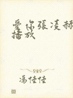 爱你张凌赫免费播放