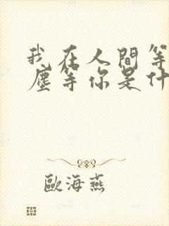 我在人间等你红尘等你是什么歌