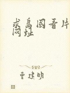 求岛国看片在线网址