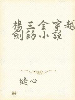 杨三金穿越到亮剑的小说