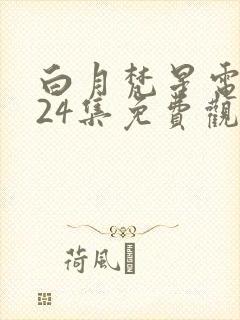 白月梵星电视剧24集免费观看