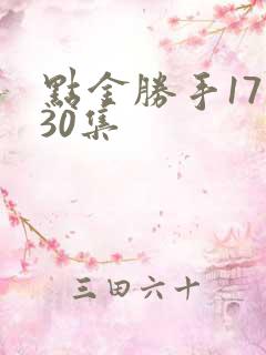 点金胜手17一30集